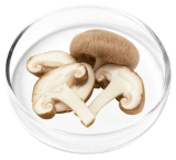 Vertiaid  Ingredient 1 - Cholecalciferol 