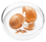 Vertiaid  Ingredient 4  Pure Eggshell Collagen