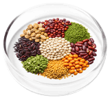 Vertiaid  Ingredient 6 Zinc-L-Carnosine