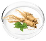 Vertiaid  Ingredient 8  Ginseng Root Powder